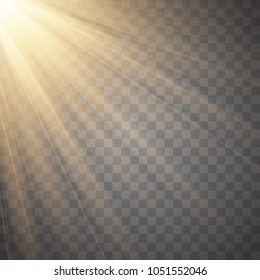 Sun rays with beams isolated on transparent background. Golden spotlight. Sun flash. Vector illustration