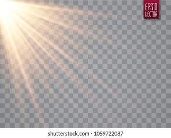 Sun rays with beams isolated on transparent background. Golden spotlight. Sun flash. Vector illustration
