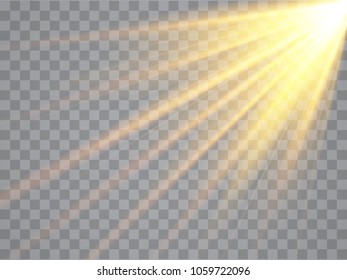Sun rays with beams isolated on transparent background. Golden spotlight. Sun flash. Vector illustration