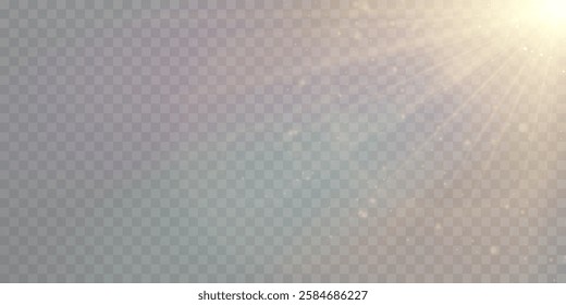 Sun, sun rays, dawn, sun glare. Golden glare on transparent background, vector