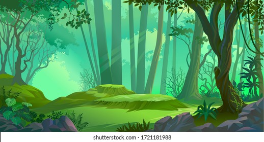 Sun rays falling deep into a thick jungle - Shutterstock ID 1721181988