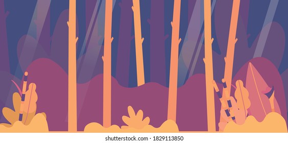 Sun rays falling into a forest 