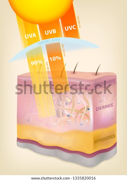 Sun Rays Layers Skin Threedimensional Drawing Stock Vector (royalty 