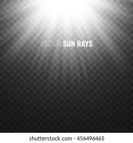 Sun rays on transparent background. Light effect. Vector illustration.