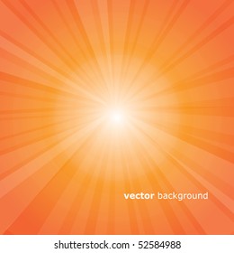 Sun Rays Vector