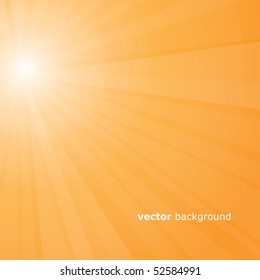 Sun Rays Vector