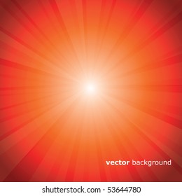 Sun Rays Vector