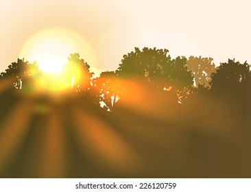 Sun rise with bright sunbeams an trees