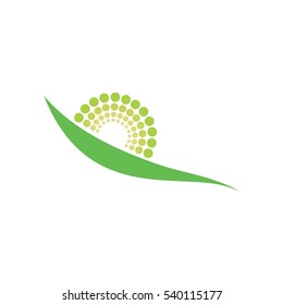 sun rise design abstract logo vector