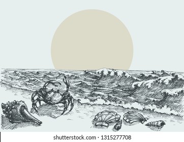 Sun rise on the beach vector hand drawing. Sea shells and a crab in the sand and seaview