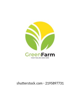 Sun rise over Leaves Logo design vector template. Alternative Energy concept. Eco organic green Farm natural fresh products Logotype icon.