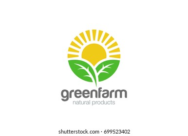 Sun rise over Leaves Logo design vector template. Alternative Energy concept.
Eco organic green Farm natural fresh products Logotype icon.