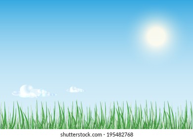 Sun rise or sunset over  green field of grass with bright blue sky.