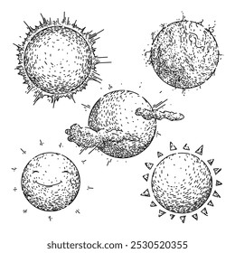 sol set mão desenhada. raios de sol, estrela de energia, heliosphere fotossíntese sol esboço vetor. ilustração preta isolada