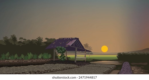 Sonnenuntergang über Reis Saatfeld Vektorillustration für Hintergrund-Design. Sonnenuntergang über Reis. Sonnenuntergang über dem Wasser. Wolkiger Himmel.