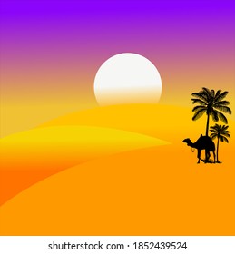 el sol se pone en el desierto y un camello (vector)