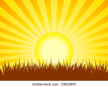Sun setting behind green pasture