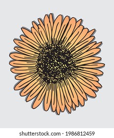 Arte vectorial de diseño gráfico de flores en forma de sol