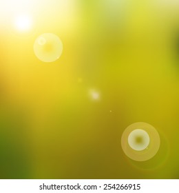 Sun shines brightly on green blurred background
