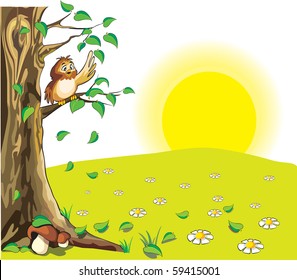  sun shining to the brown own on the tree under the leaf
