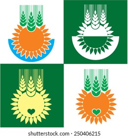 Sun and spike. Sign. logo element 2 Sun and three spikelets. Stylized image. Vector.
