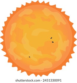 The Sun, a stellar of the solar system. Vector illustration.