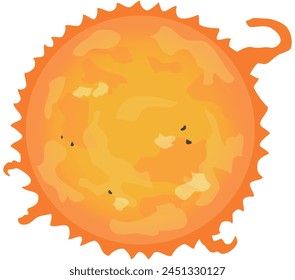 The Sun, a stellar of the solar system. Vector illustration.