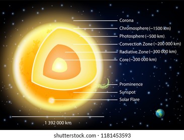 Sun structure diagram. Vector illustration of sun internal structure with layers, sunspots, solar flare and prominence. Educational poster, scientific infographic, presentation template.