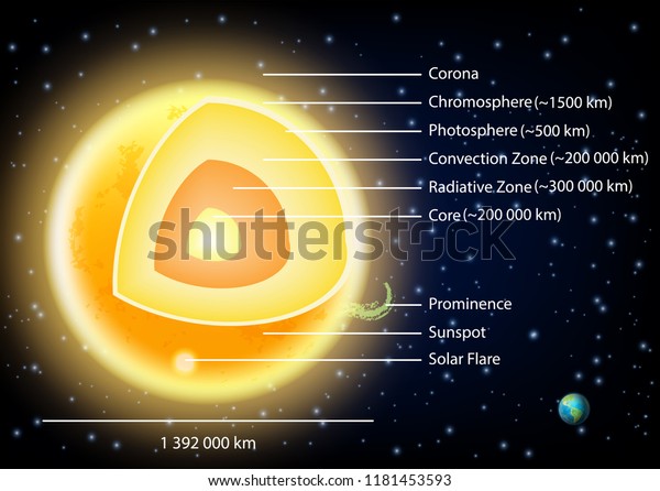 Sun structure diagram. Vector illustration of\
sun internal structure with layers, sunspots, solar flare and\
prominence. Educational poster, scientific infographic,\
presentation template.