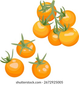 Sonnenzuckertomate, Kirschtomate, Gelbe Tomate, Orangentomate, handgezeichnetes Vektorgrafik-Set einzeln