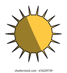 Sun symbol isolated