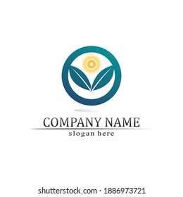 Sun tree leaf Vector illustration Icon Logo Template design