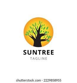 Sun tree logo design template vector