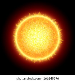 Sun. Vector.