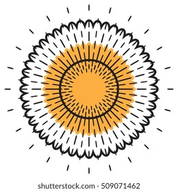 Sun vector icon. Star pictograph sign isolated on white.