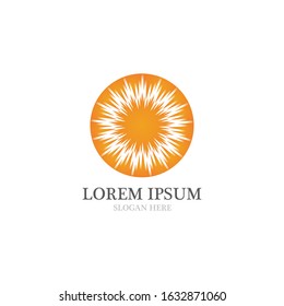 Sun Vector illustration Icon Logo Template design