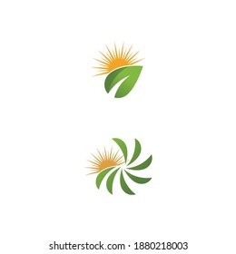 Sun Vector illustration Icon Logo Template design