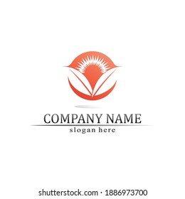 Sun Vector illustration Icon Logo Template design