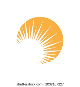 Sun Vector illustration Icon Logo Template design