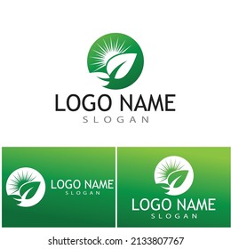 Sun Vector illustration Icon Logo Template design