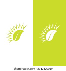 Sun Vector illustration Icon Logo Template design