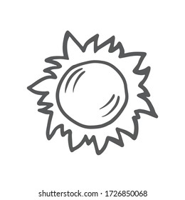 The sun. Vector linear drawing of the sun. The symbol of the sun.
