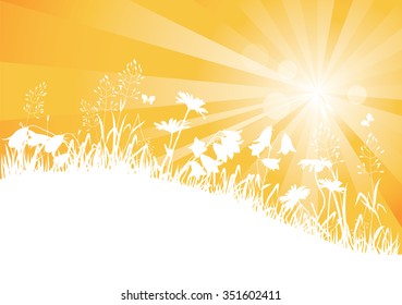 Sunbeams and silhouettes of wild flowers and herbs