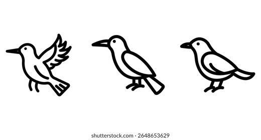 contorno do sun-bird ou conjunto de design de ícone de linha.