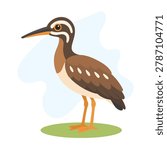 Sunbittern standing near wetlands, Sunbittern displaying elegant brown plumage, Eurypyga helias vector wildlife bird illustration.