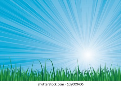Sunburst blue sky green grass vector image.