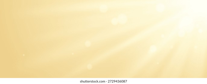 sunburst light glare background bright sunshine light rays