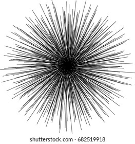 Sunburst, starburst shape black on white. Design element. Radiating radial merging lines, stripes or fireworks. Abstract circular geometric pattern. Vector illustration