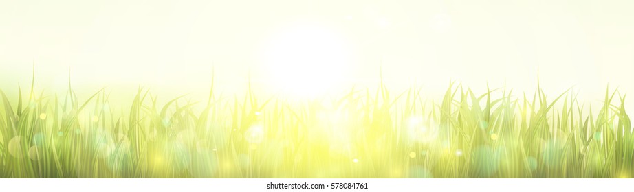 Sunburst with sun flare and green grass. Colorful sunset or sunrise. Spring or summer blur background. Wide, long format good for web. Vector Illustration.