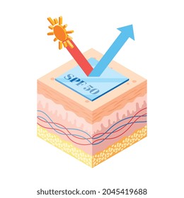 Suncreen with spf 50 protection and skin layers isometric icon vector illustration
